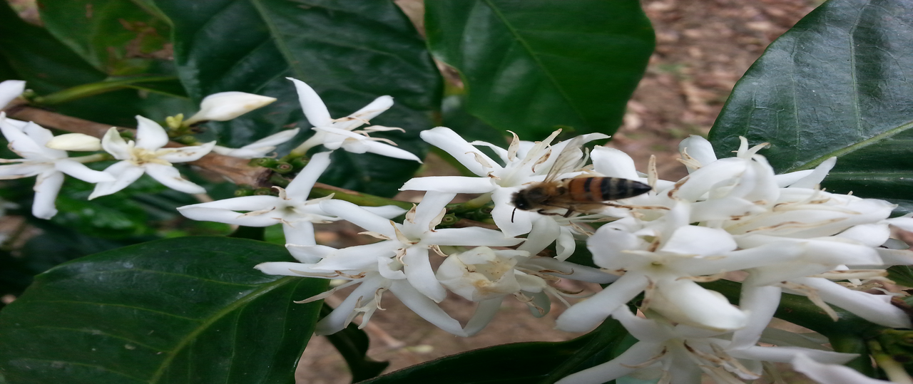 slider image 4